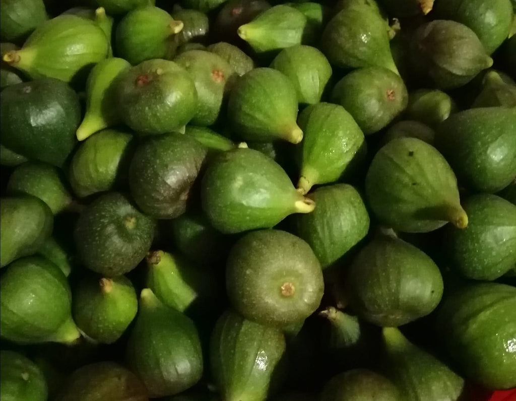 Green Figs used in the making of Green Fig Preserve, available at Country Pantry